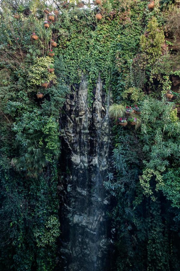 Cascada y jardín vertical inhala Cascada y jardín vertical inhala